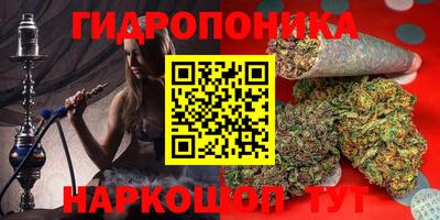индика Кимры